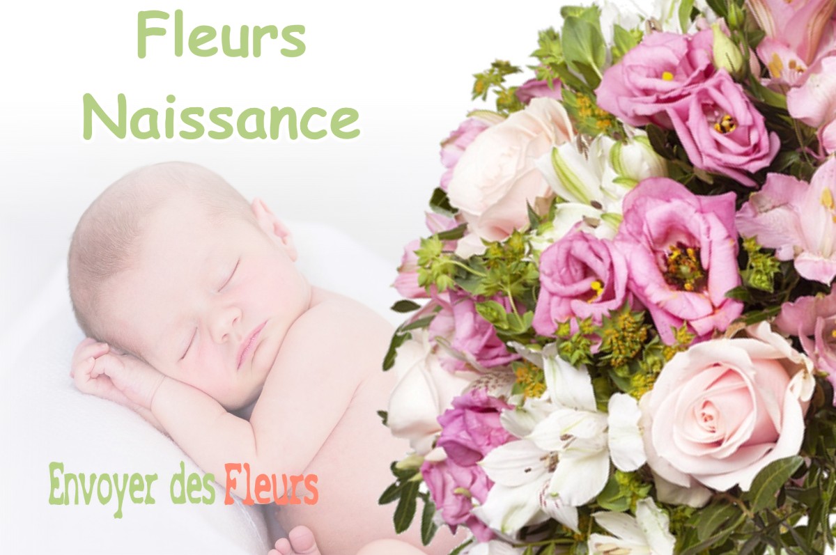 lIVRAISON FLEURS NAISSANCE à INOR